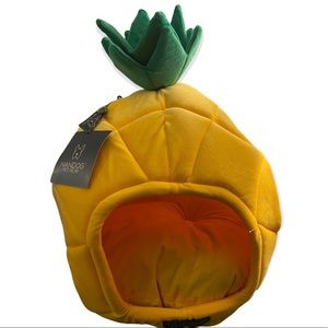 Pet pineapple bed